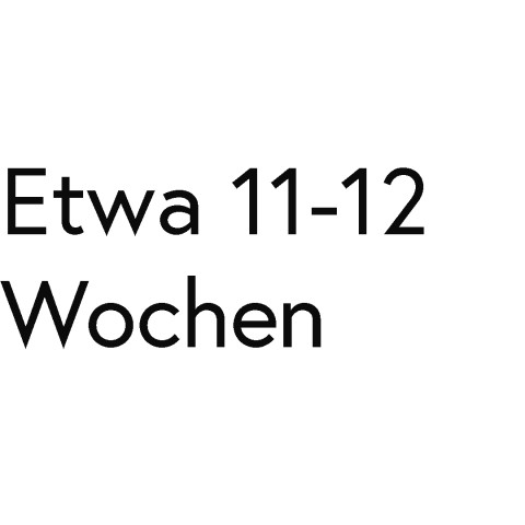 Etwa 11-12 Wochen