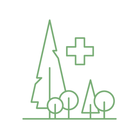 Gesundheit und Vitalität der Österreichischen Wälder